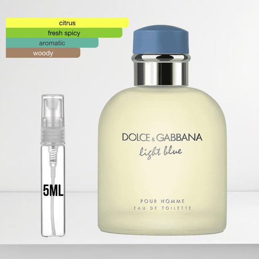 Dolce and Gabbana Light Blue Pour Homme (Mens)